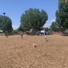 Fossil Creek Dog Park